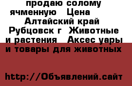 продаю солому ячменную › Цена ­ 350 - Алтайский край, Рубцовск г. Животные и растения » Аксесcуары и товары для животных   